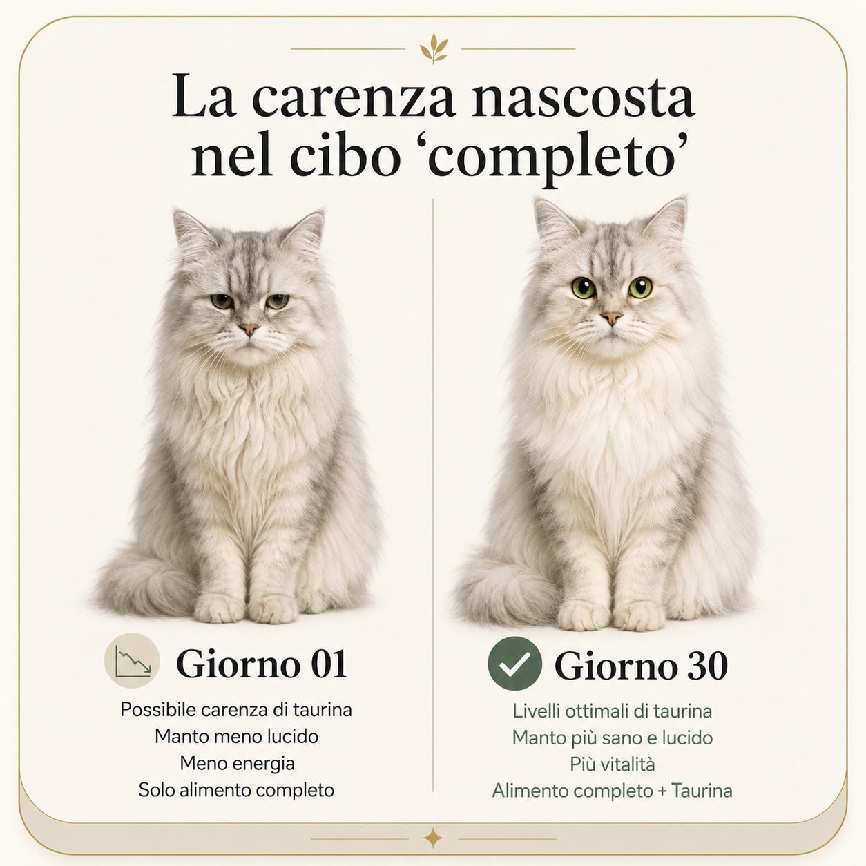 The Zoo Lab - Taurina Per Gatti